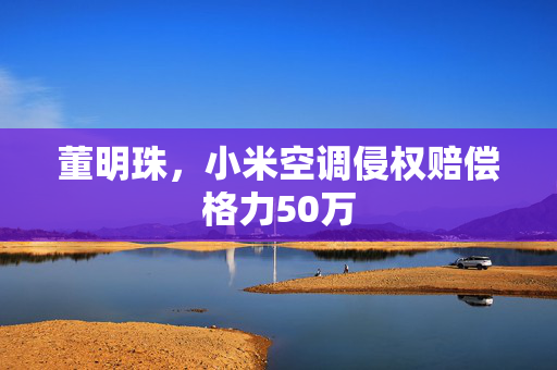 董明珠，小米空调侵权赔偿格力50万