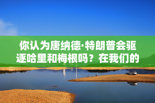 你认为唐纳德·特朗普会驱逐哈里和梅根吗？在我们的投票中投票