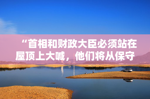 “首相和财政大臣必须站在屋顶上大喊，他们将从保守党的混乱中建设更好的英国。”