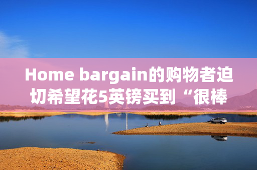 Home bargain的购物者迫切希望花5英镑买到“很棒的”袜子填充物