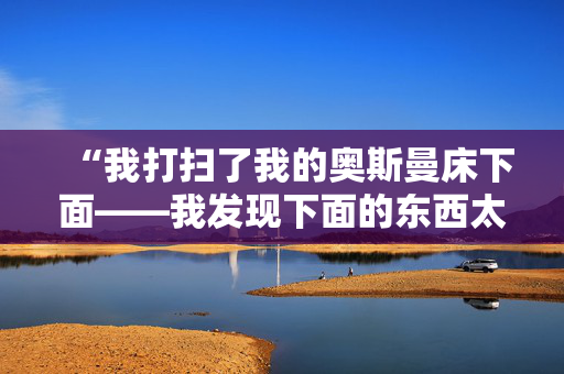 “我打扫了我的奥斯曼床下面——我发现下面的东西太可怕了。”