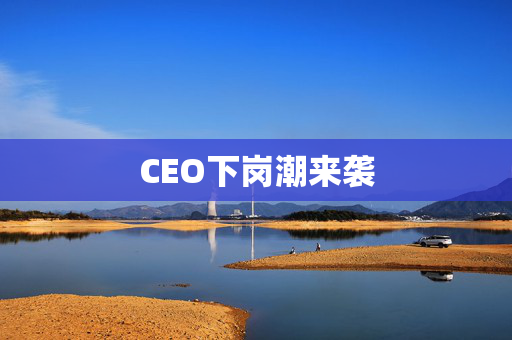 CEO下岗潮来袭