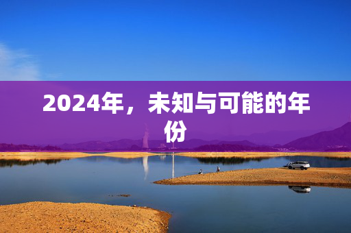 2024年，未知与可能的年份